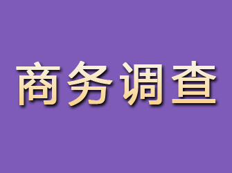 抚松商务调查